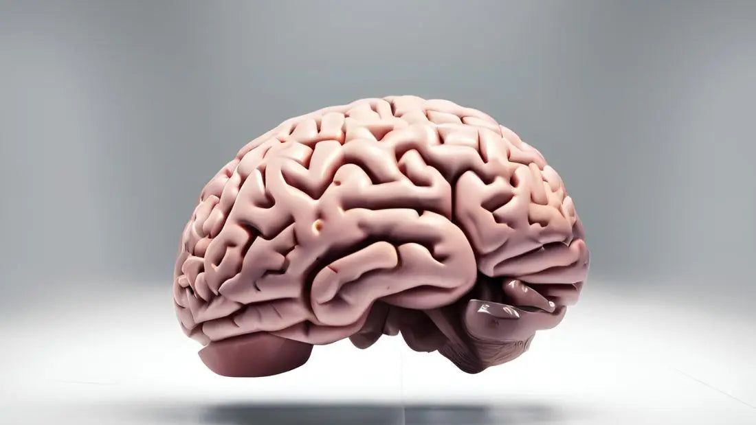 ADHD brein: hoe werkt het anders?