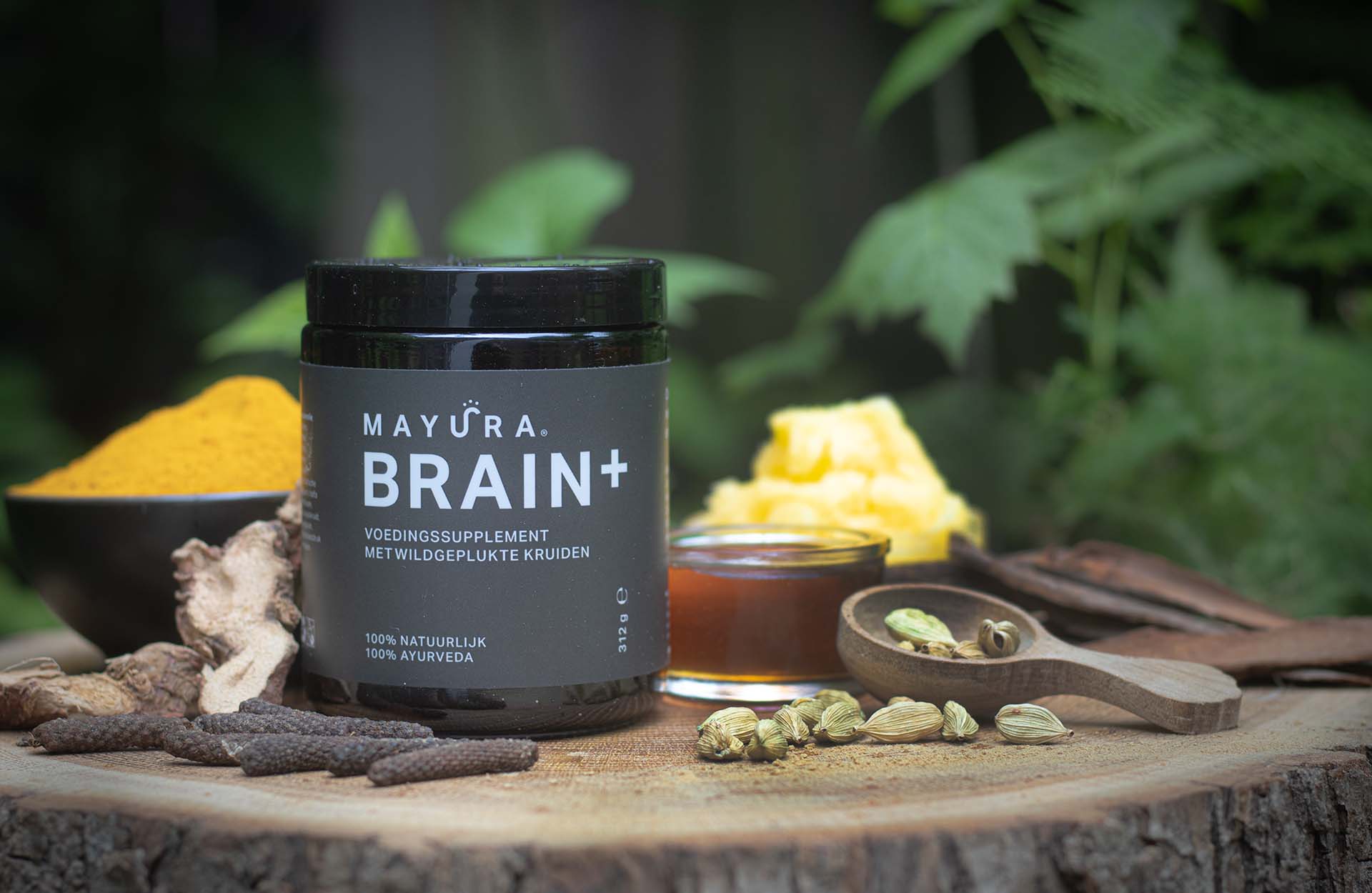 1755196641027-brainsupplement.jpg