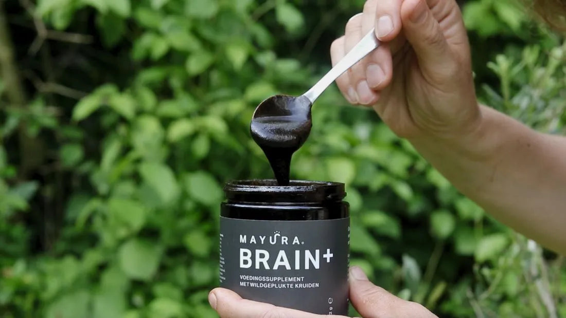 ADHD natuurljk supplement Brain+