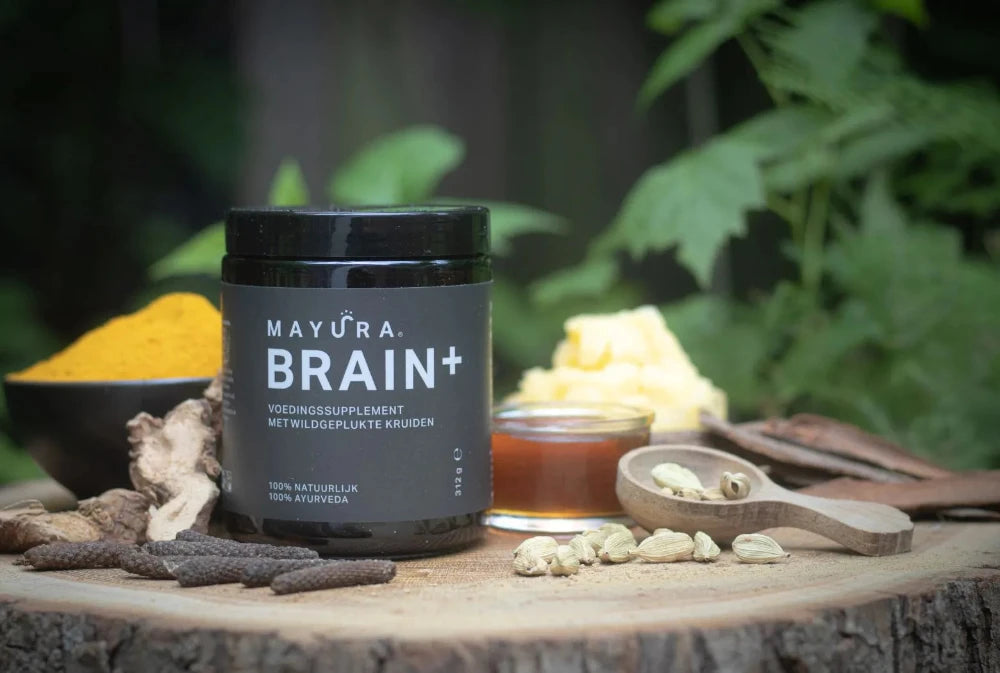 Brain+
