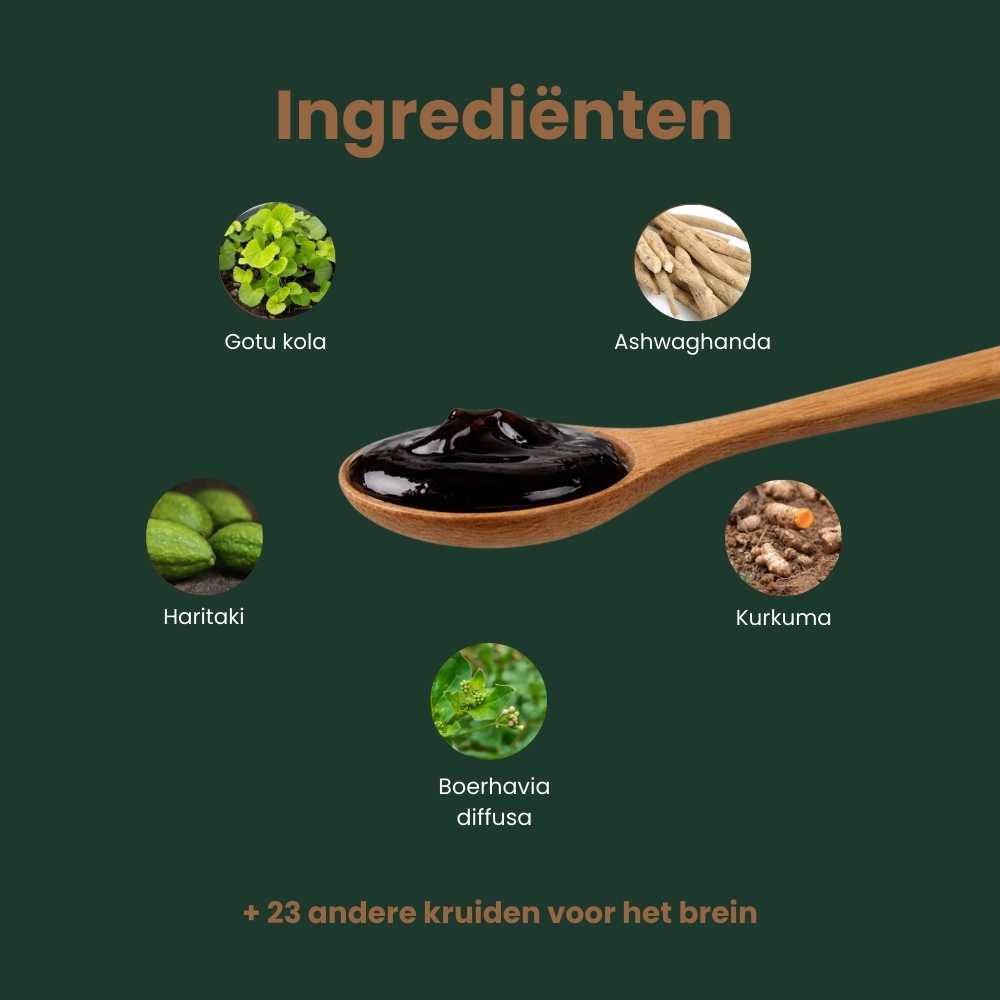 De belangrijkste ingrediënten va Brain+