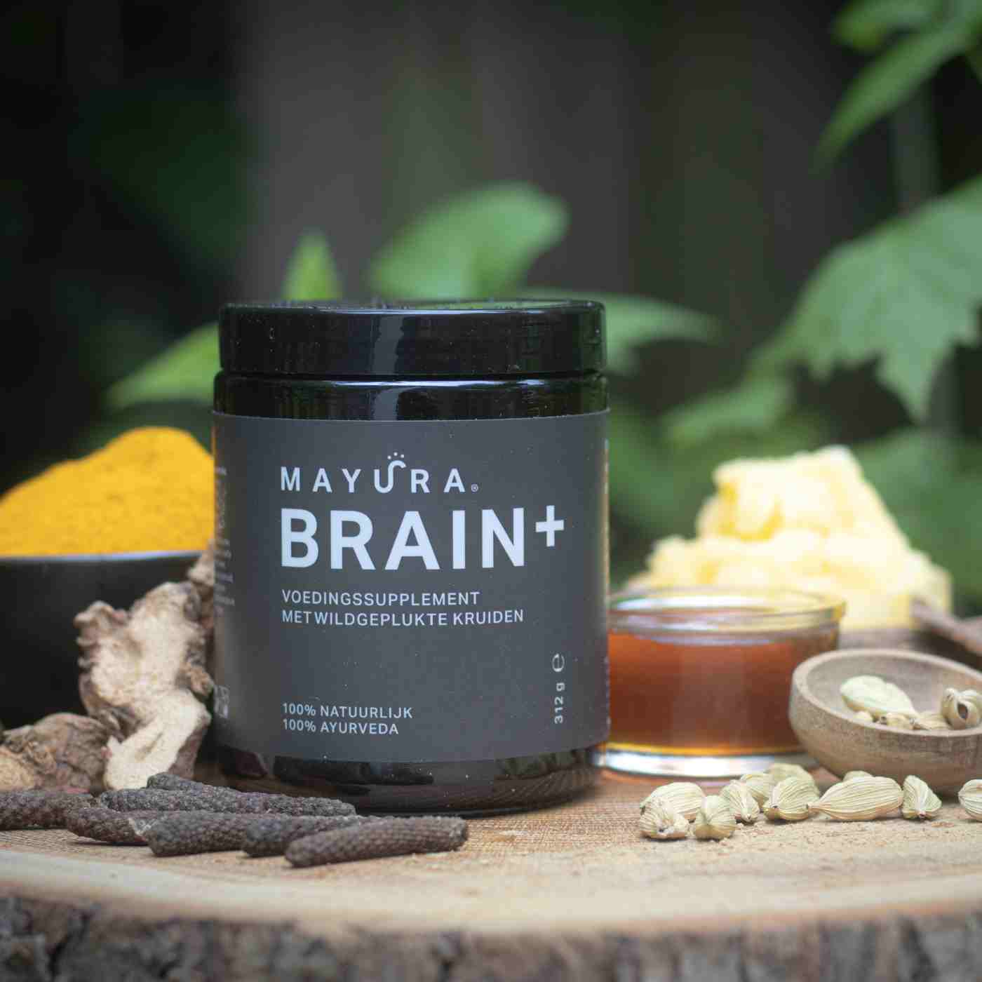 Concentratie supplement Brain+
