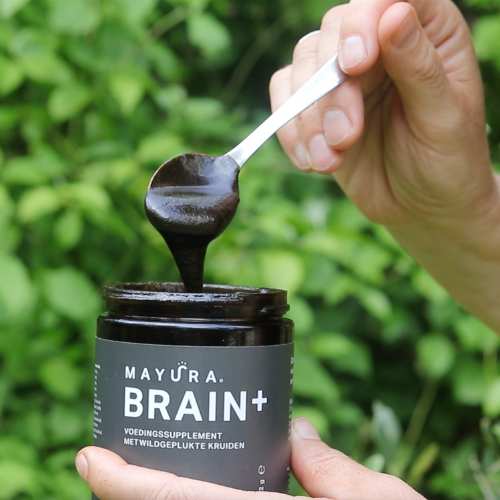Lepel met Brain+ supplement in pot, natuurlijke ondersteuning voor focus en mentale helderheid