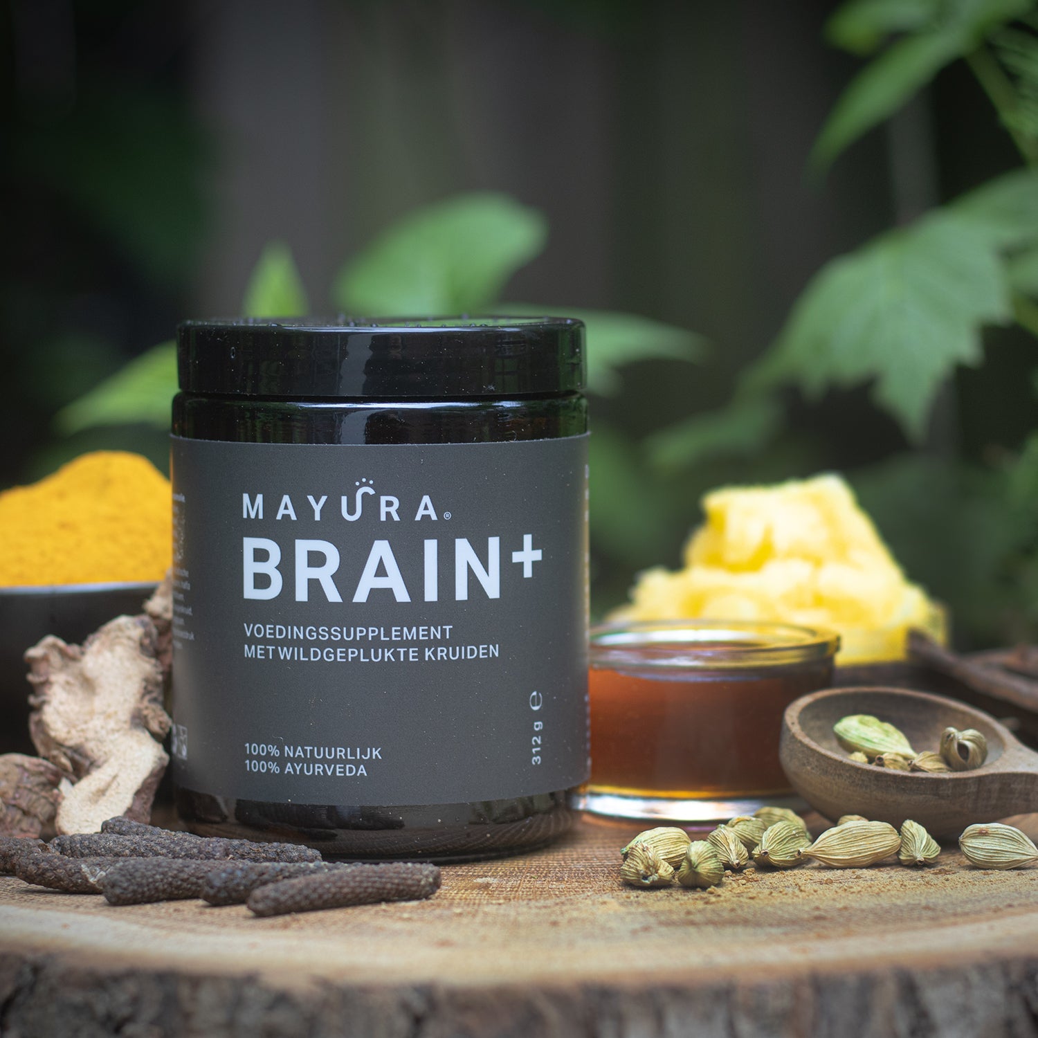 Gratis sample Brain+