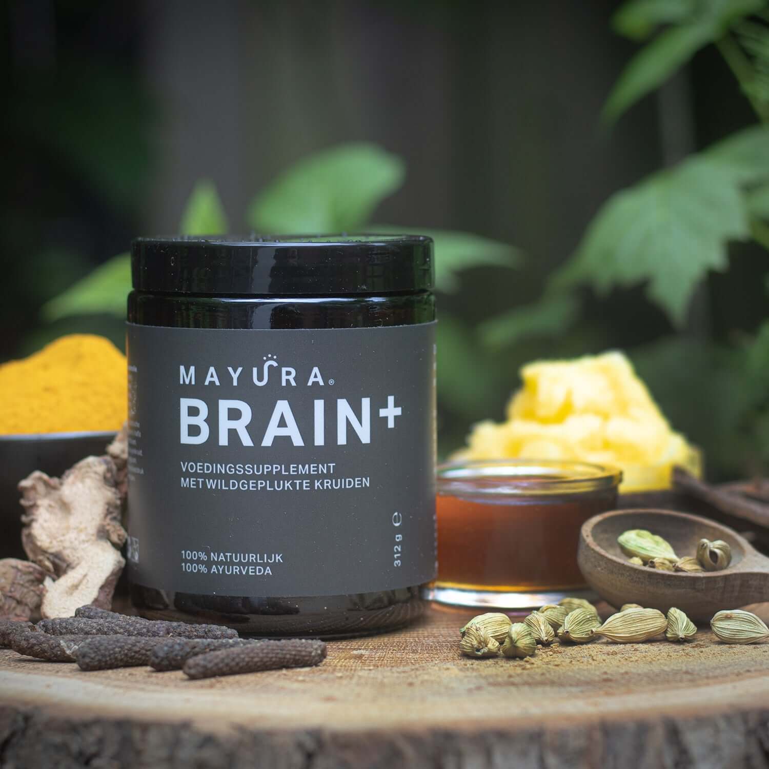 Brain+ supplement voor concentratie