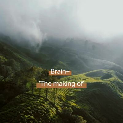 Deze video laat zien hoe Brain plus gemaakt wordt