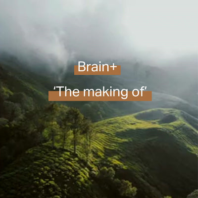 Hoe wordt concentratie supplement  Brain+ gemaakt
