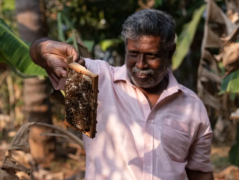 Bijenhouder Kerala